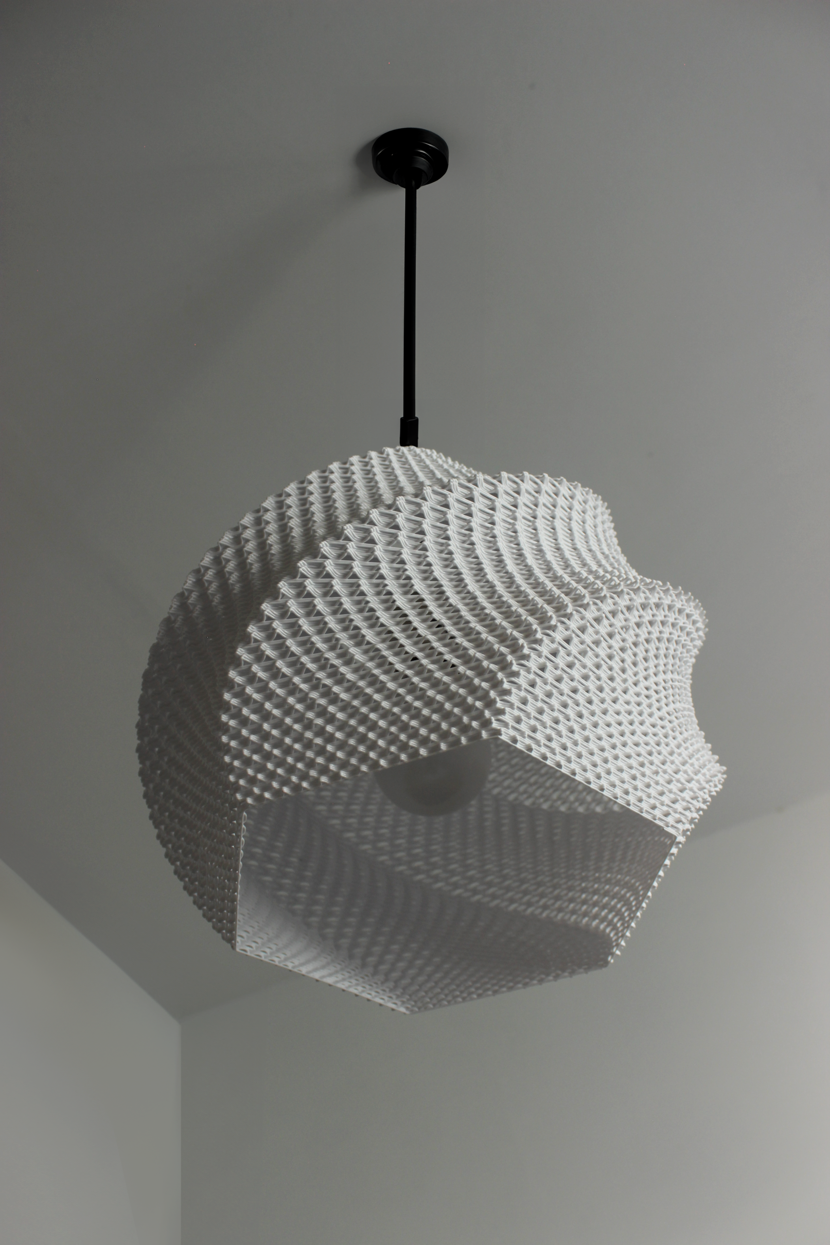 Highmour sculptural 3D printed pendant lamp wholesale bulk India