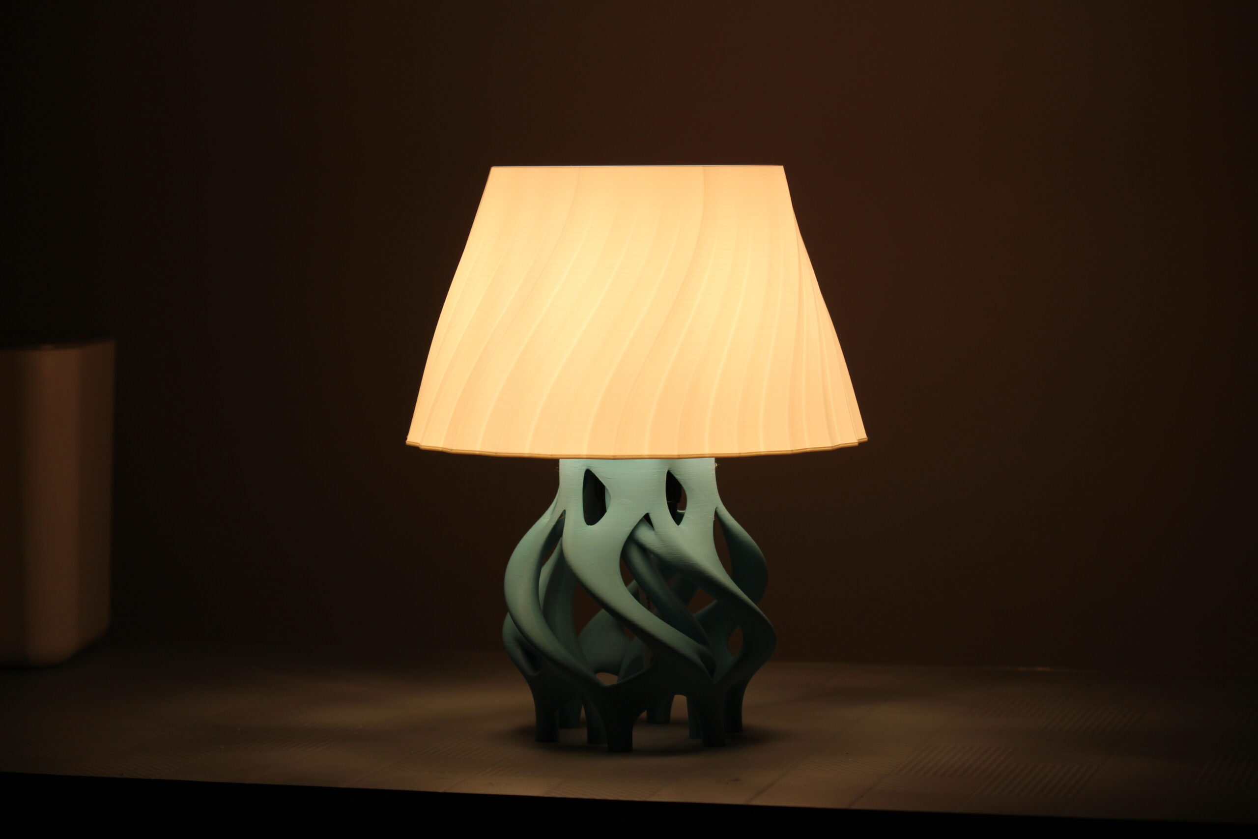 3D printed designer lamp wholesale Rajasthan India Highmour
